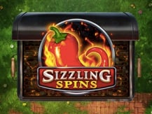 Sizzling Spins
