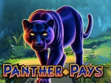 Panther Pays