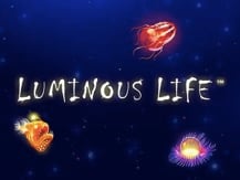 Luminous Life