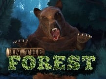 In The Forest