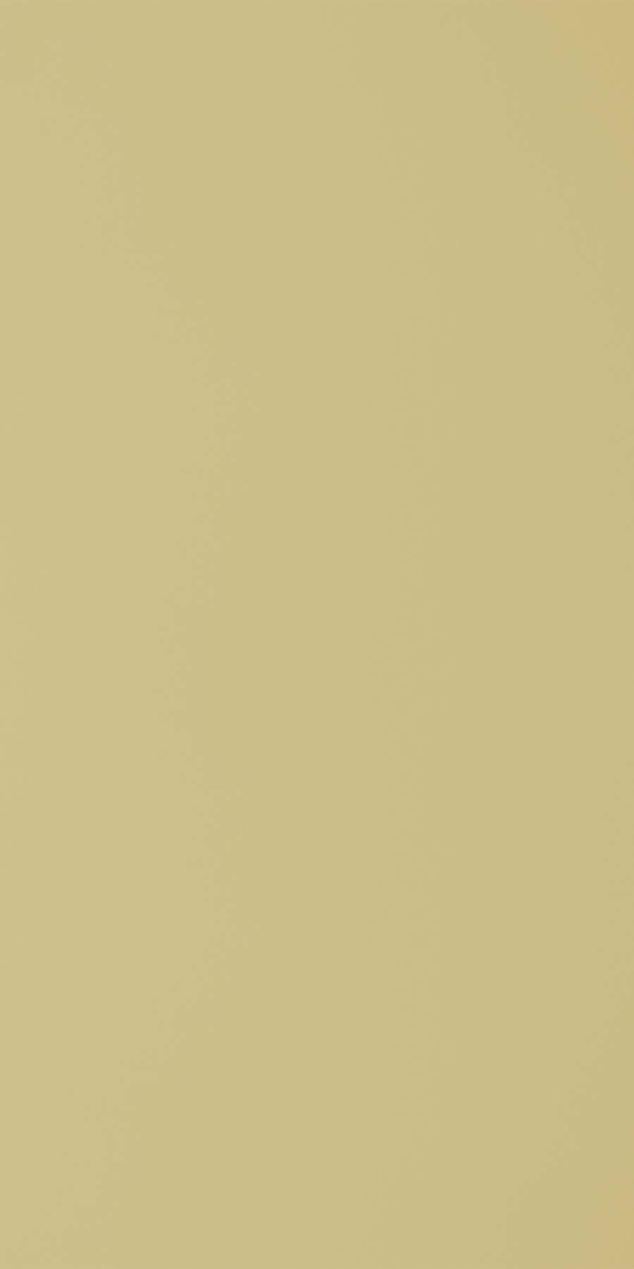 Greenlam 141 Beige Laminate in HD Gloss (HDG) finish