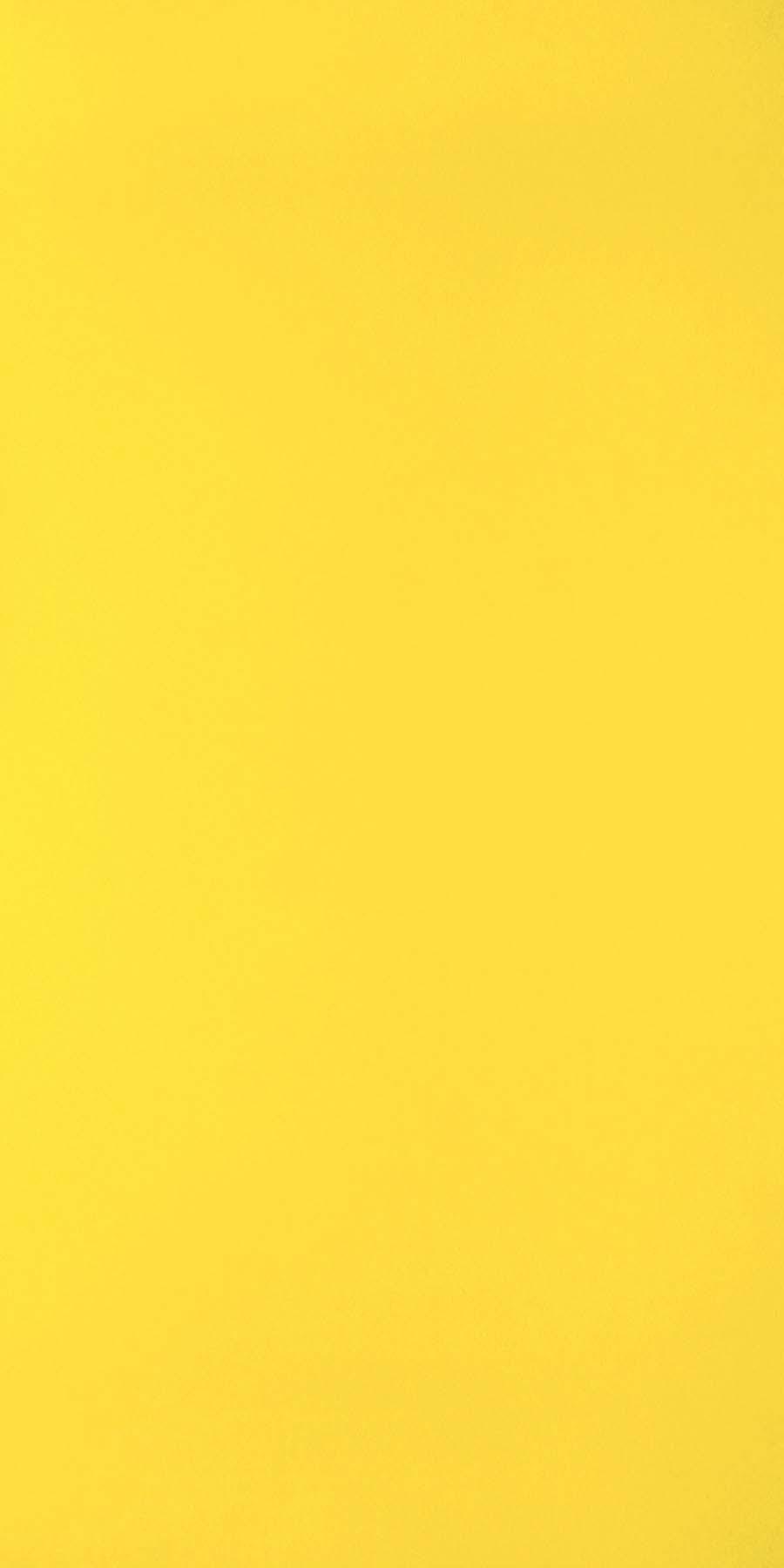 Greenlam Divine Yellow 207
