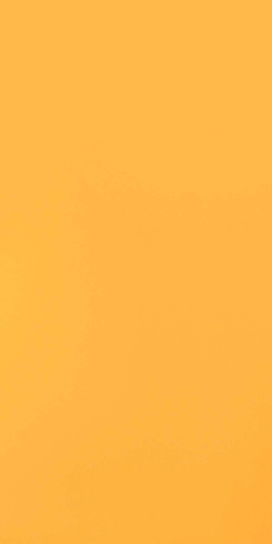 Greenlam Light Orange 217
