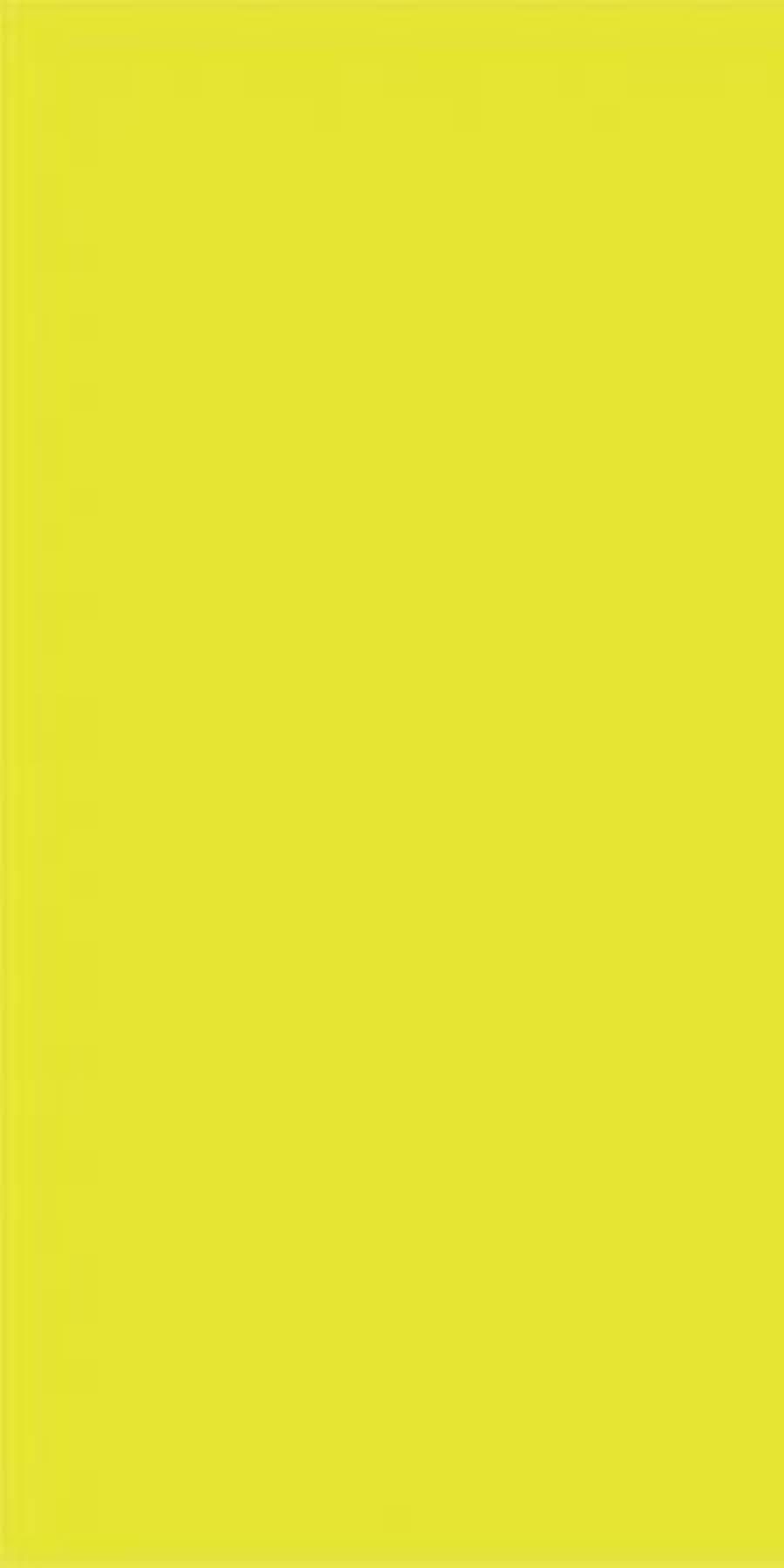 Greenlam Lime Yellow 231