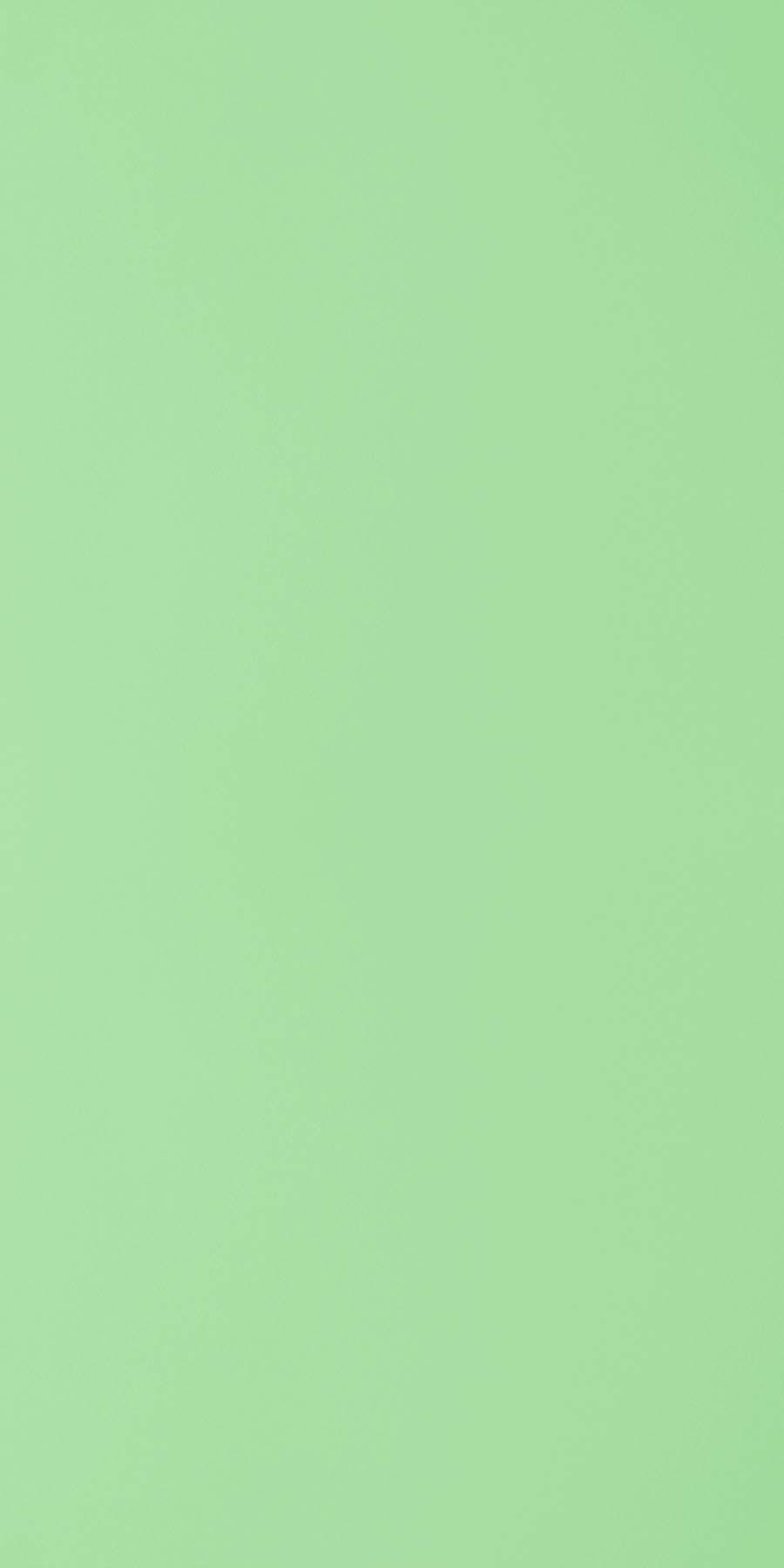 Greenlam Sea Green 243