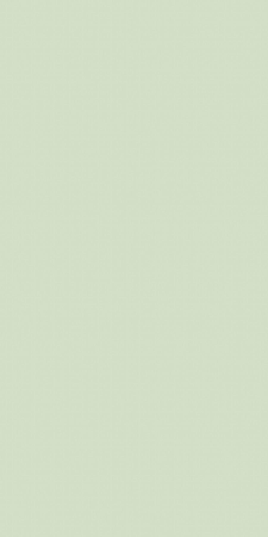 Greenlam Dutch Green 247