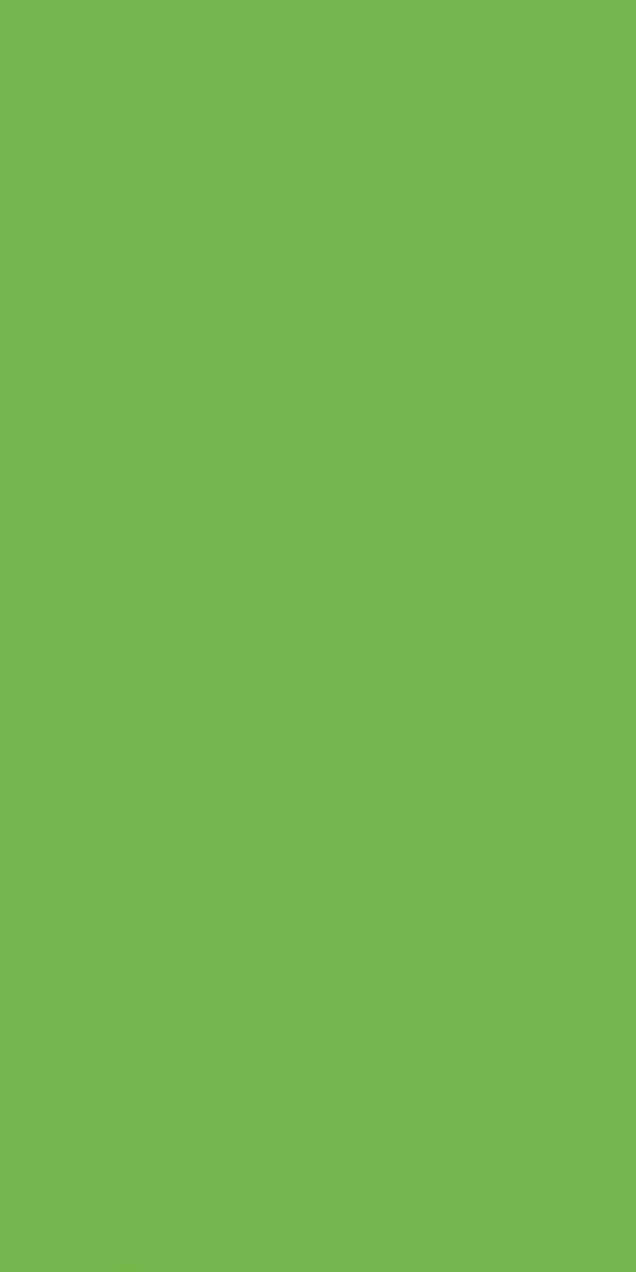 Greenlam Lime 259