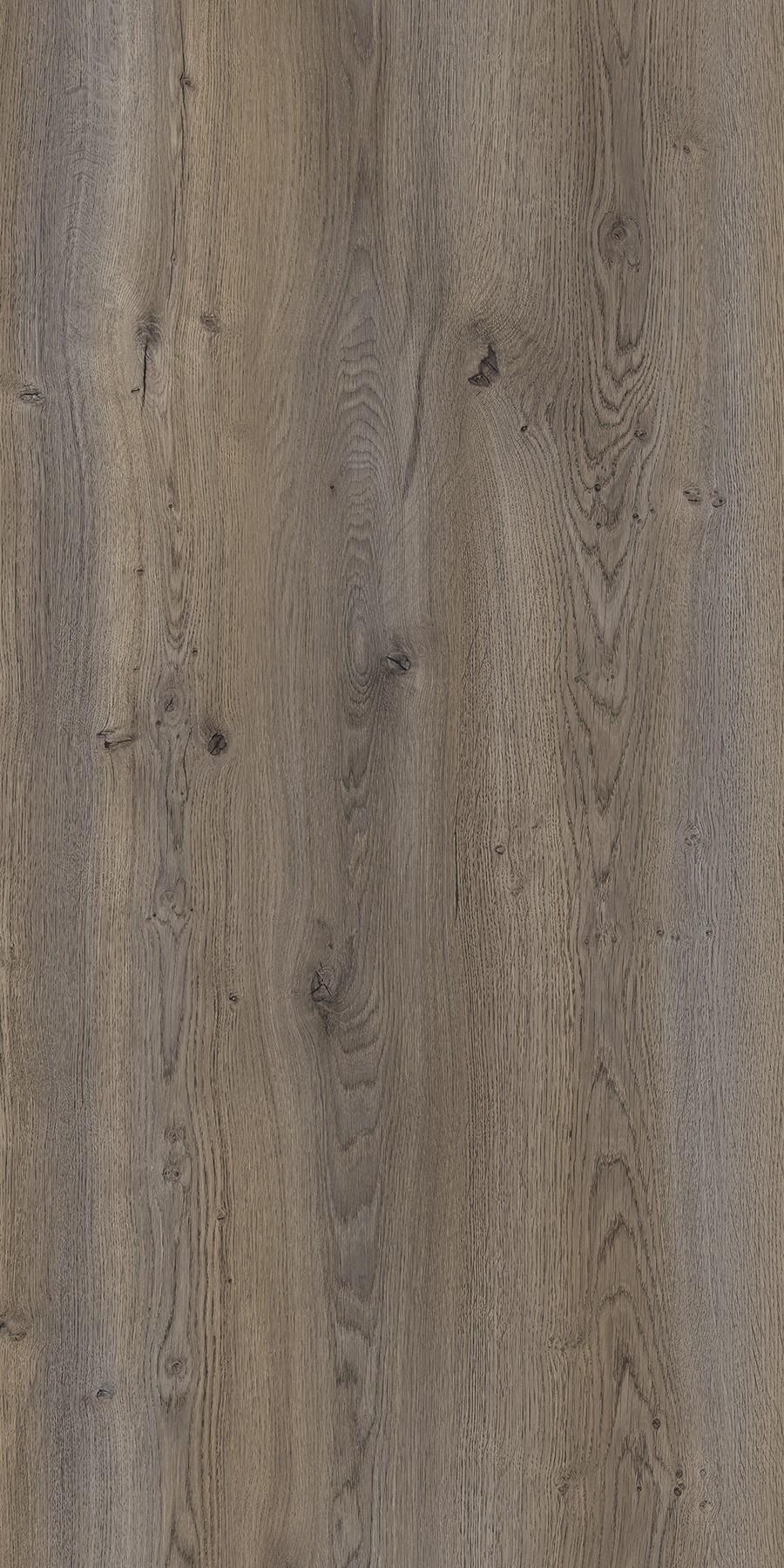 Greenlam 5373 Aspen Oak Laminate in HD Gloss (HDG) finish
