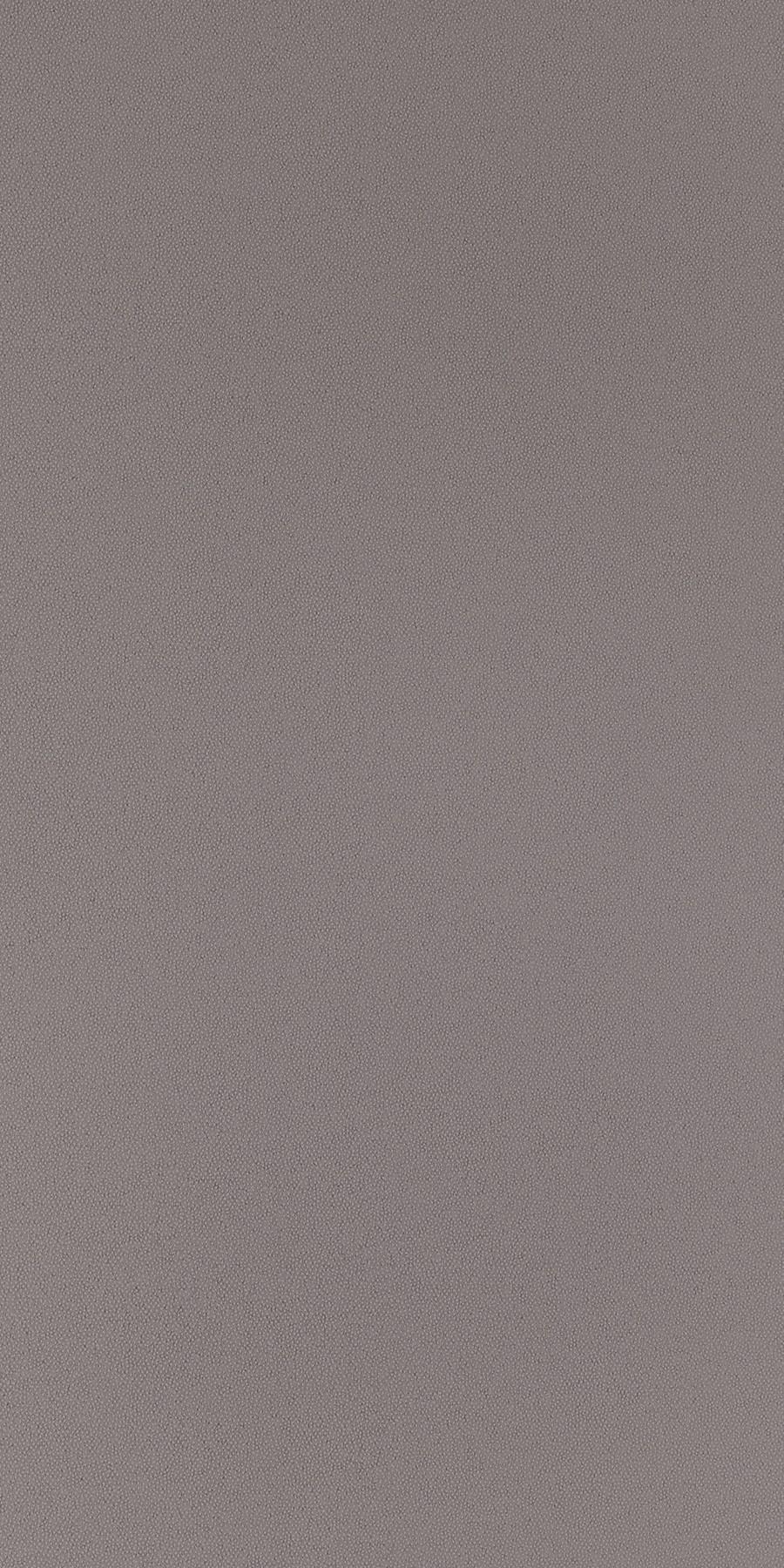 Greenlam Akita Taupe 5645