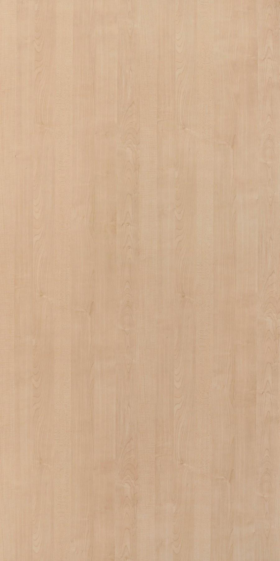 Greenlam Golden Maple 683