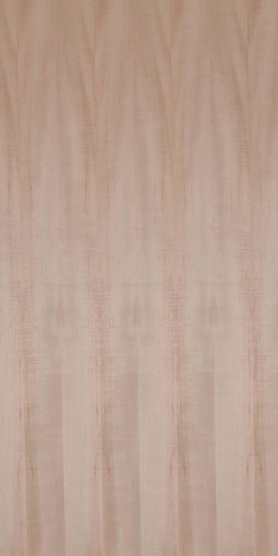 Greenlam American Maple American Maple