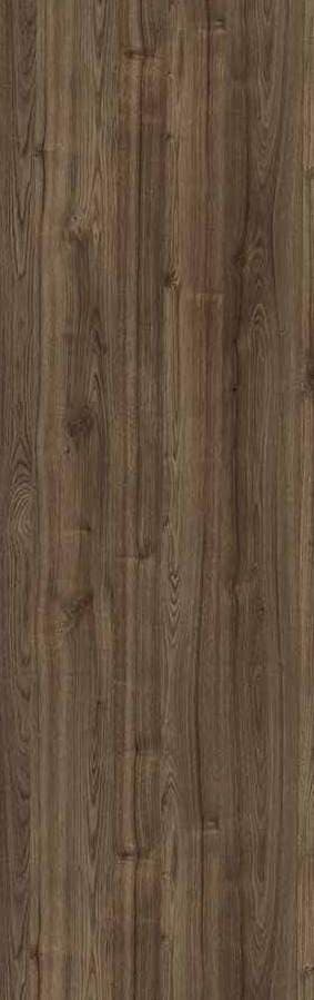 Merino Smooth Leaved Elm 14587