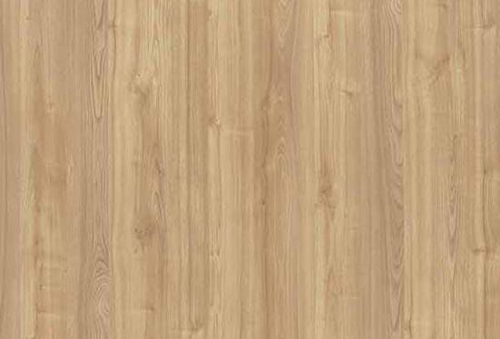 Merino Apex Leaved Elm 14588