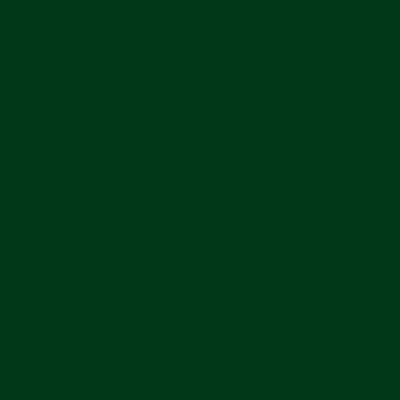 Merino English Ivy 21063