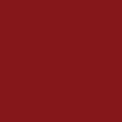 Merino Carnival 21075