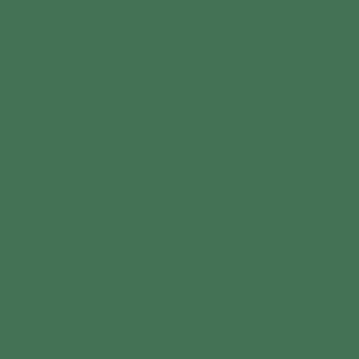 Merino Jolly Green 21103