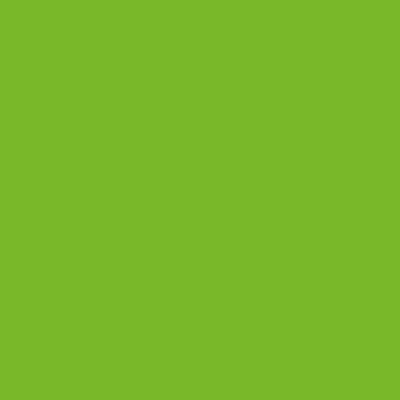 Merino Parrot Green 21143