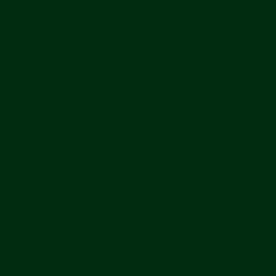 Merino Hunter Green 21193