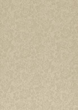 Merino Misty Dreams Cream 44708
