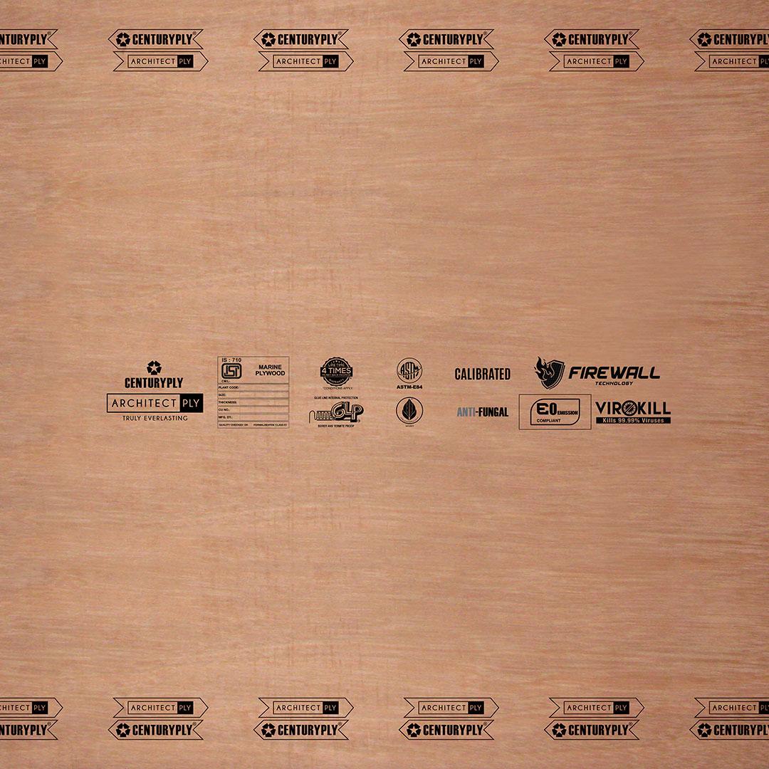 Century Architect Ply