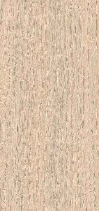 EightByFour Nordic Birch SD 4815
