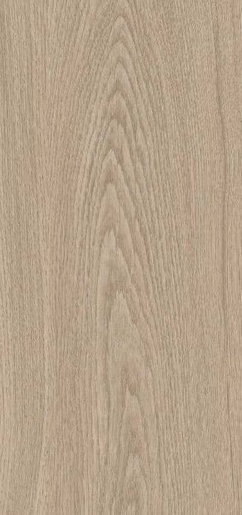 EightByFour Misty Oak SD 4829