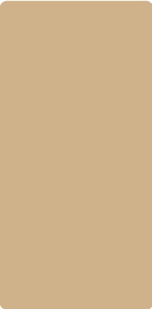 EightByFour Mustard Sandy Gold SA-127