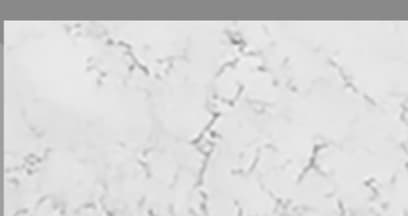 Solid Surface / Corian