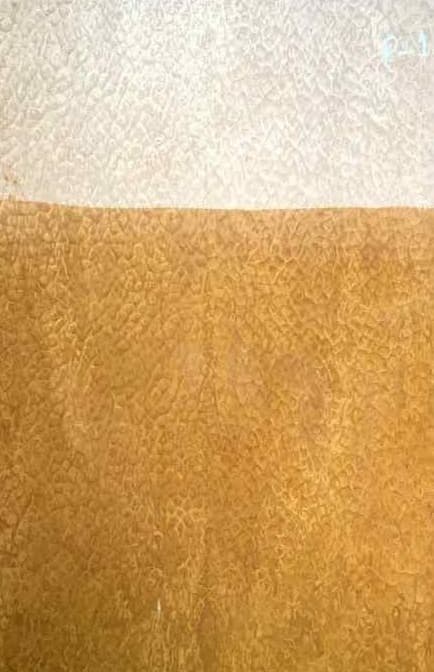 EightByFour Engineered Veneer 27