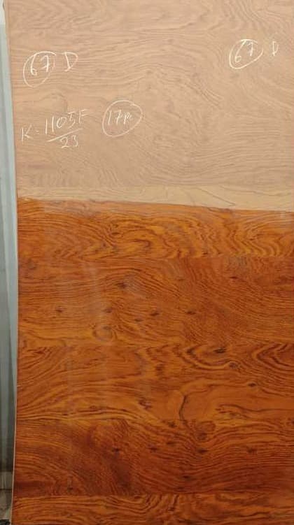 EightByFour Natural Veneer 54