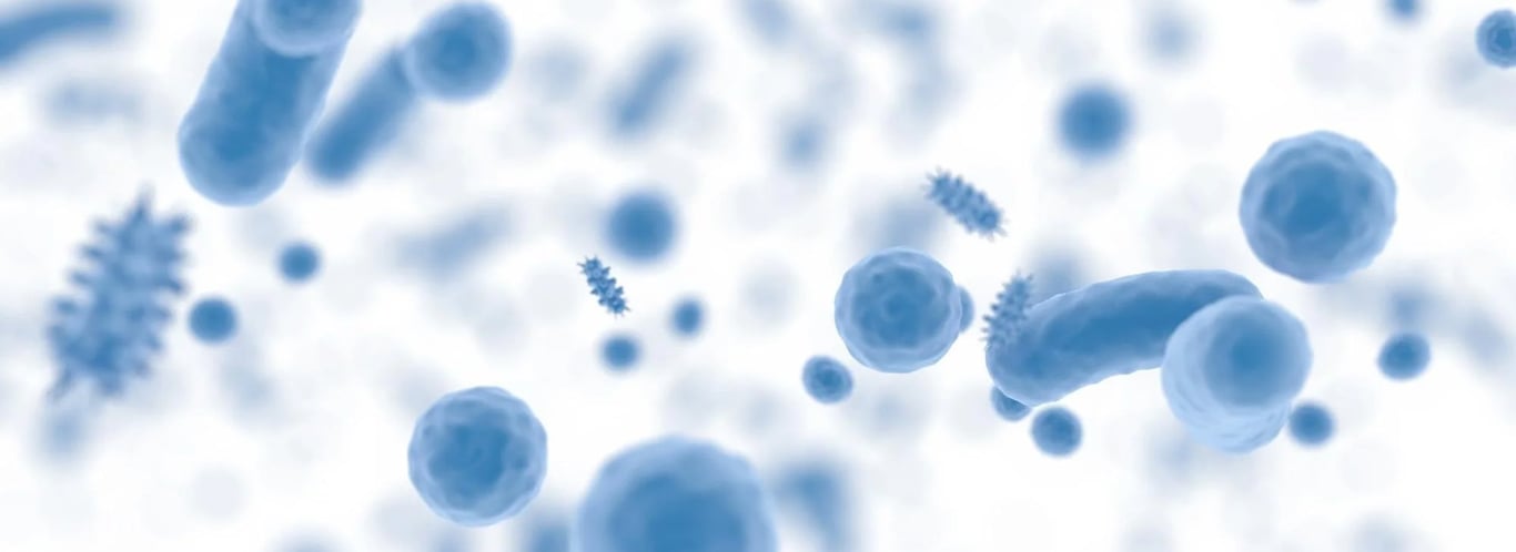 Psychobiotics