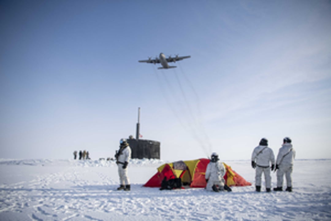 Arctic Platforms and Structures