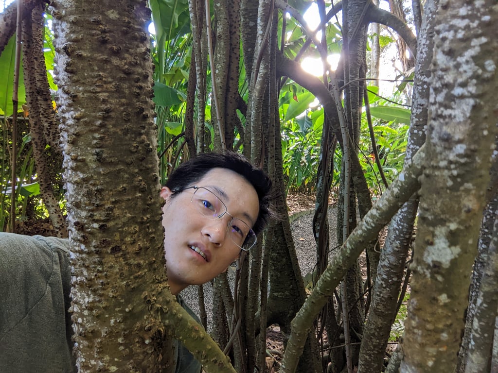 Image with caption 'Trees with aerial roots are some of my favorite plants.'