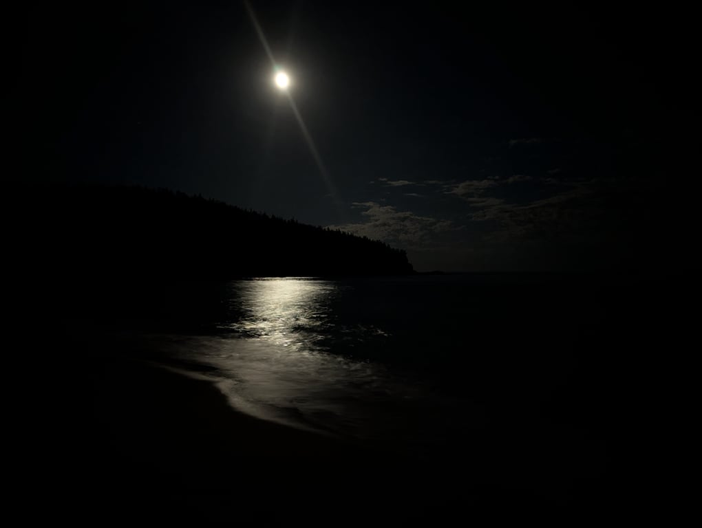 Image with caption 'What the moonlit beach actually looked like. Taken with a long exposure.'