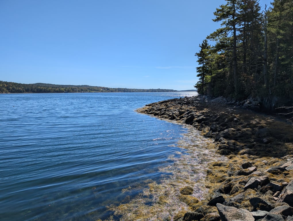 Image with caption 'After you go up and down Acadia Mountain, there's a small overlook where you get this waterside view. While no tropical archipelago, the water is surprisingly clear! Maine (and also Massachusetts) had some impressive water.'