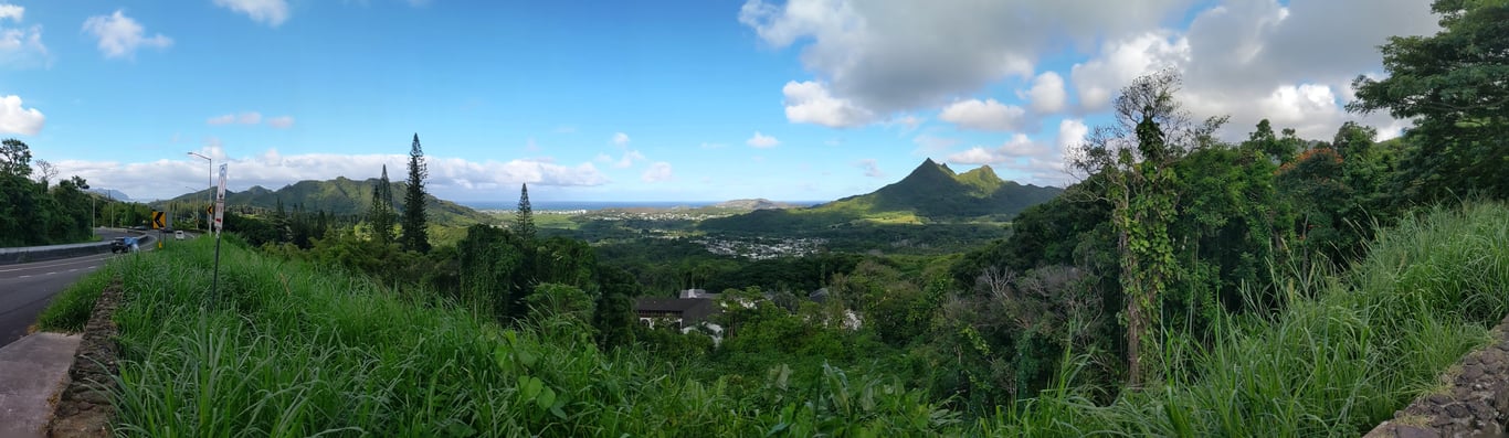 Image with caption 'I stopped on the way at a Scenic Point, which was quite a nice elevated view of the southeastern corner of the island.'