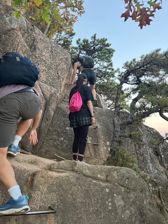 Image with caption 'Climbing up the metal rungs of the Beehive Loop.'