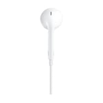 Apple EarPods with Lightning Connector - Image 4