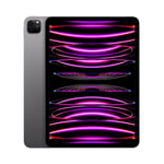 Apple iPad Pro M2 12.9-inch 6th Gen Wi-Fi + Cellular
