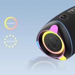 Sounarc R2 Portable Speaker - Image 2