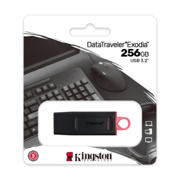 Kingston 256GB Data Traveler Exodia USB 3.2 Flash Drive 