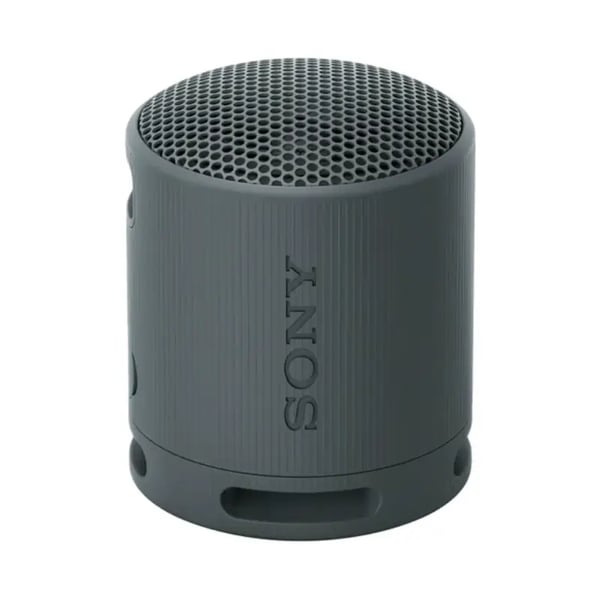 Sony SRS-XB100 Portable Wireless Speaker