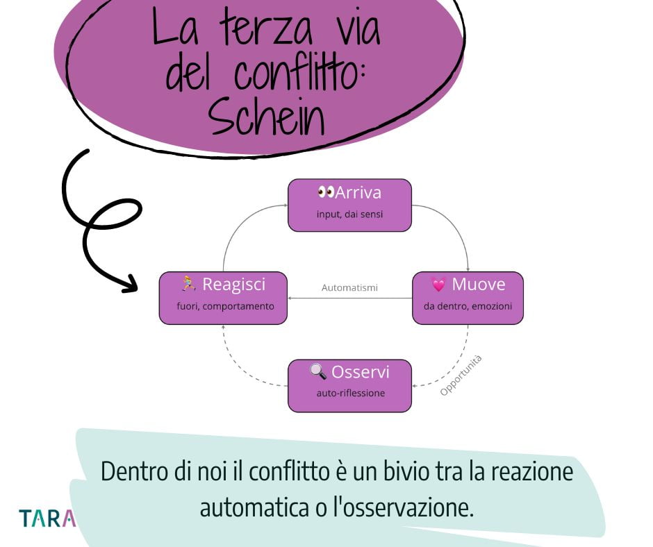 terza-via-del-conflitto