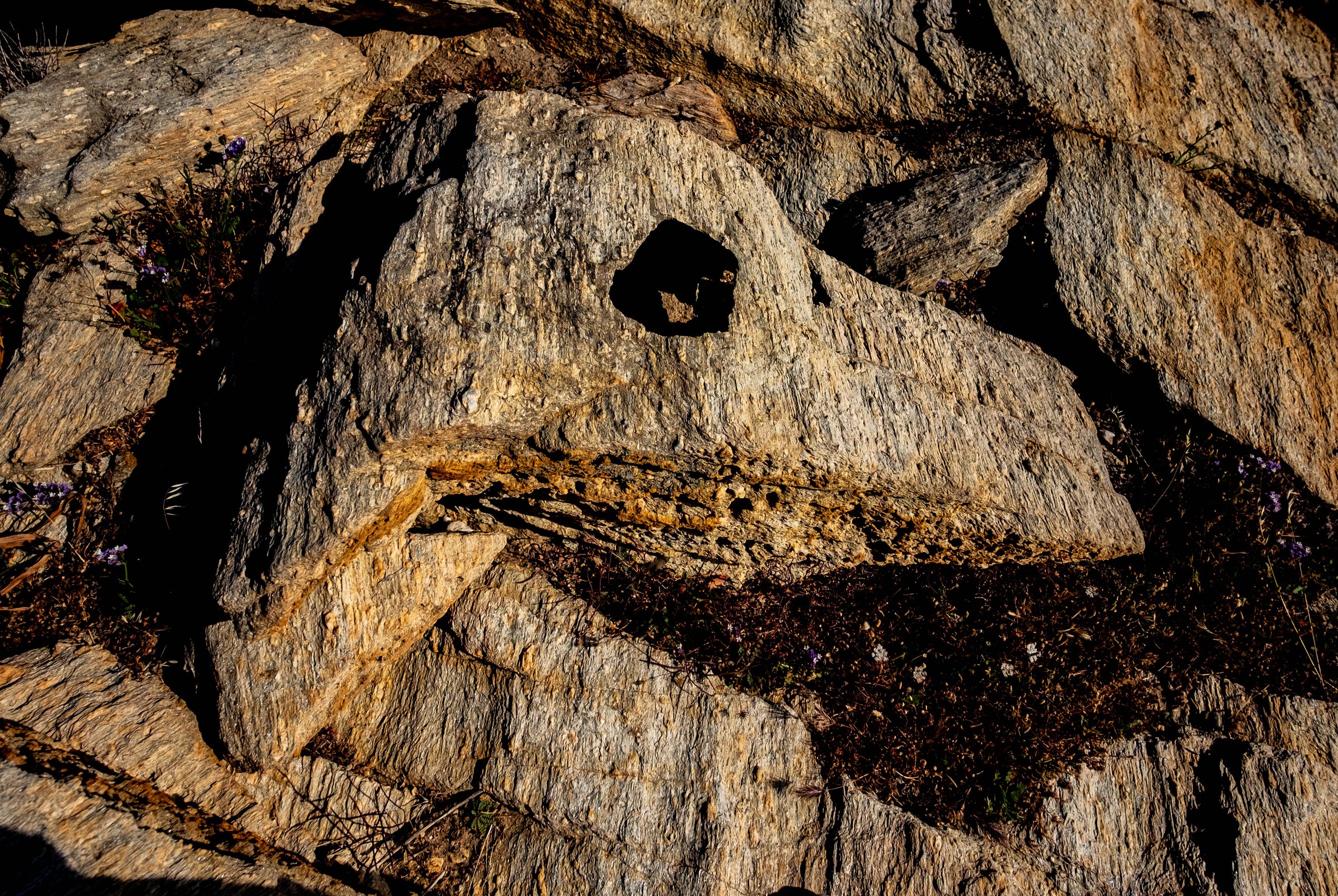 Bird Stone