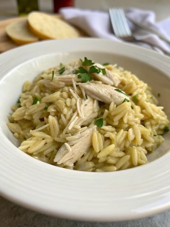 slow cooker chicken orzo beautifully plated with a side salad and bread