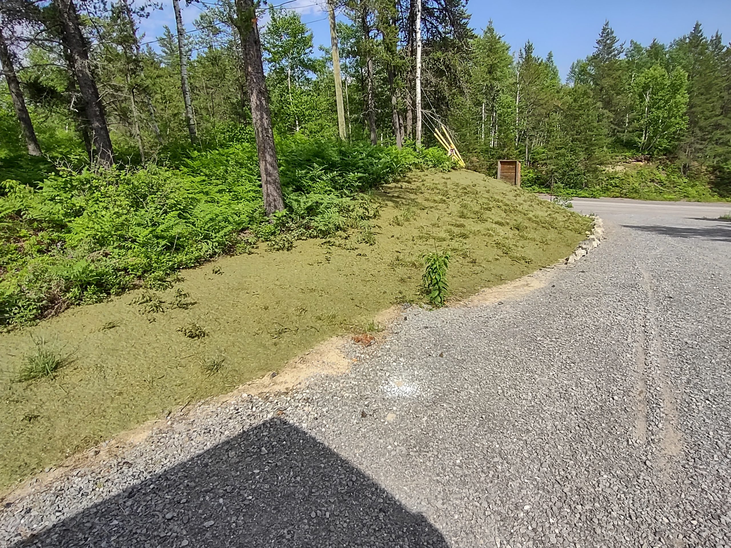 IMG_20220624_154214051_HDR
