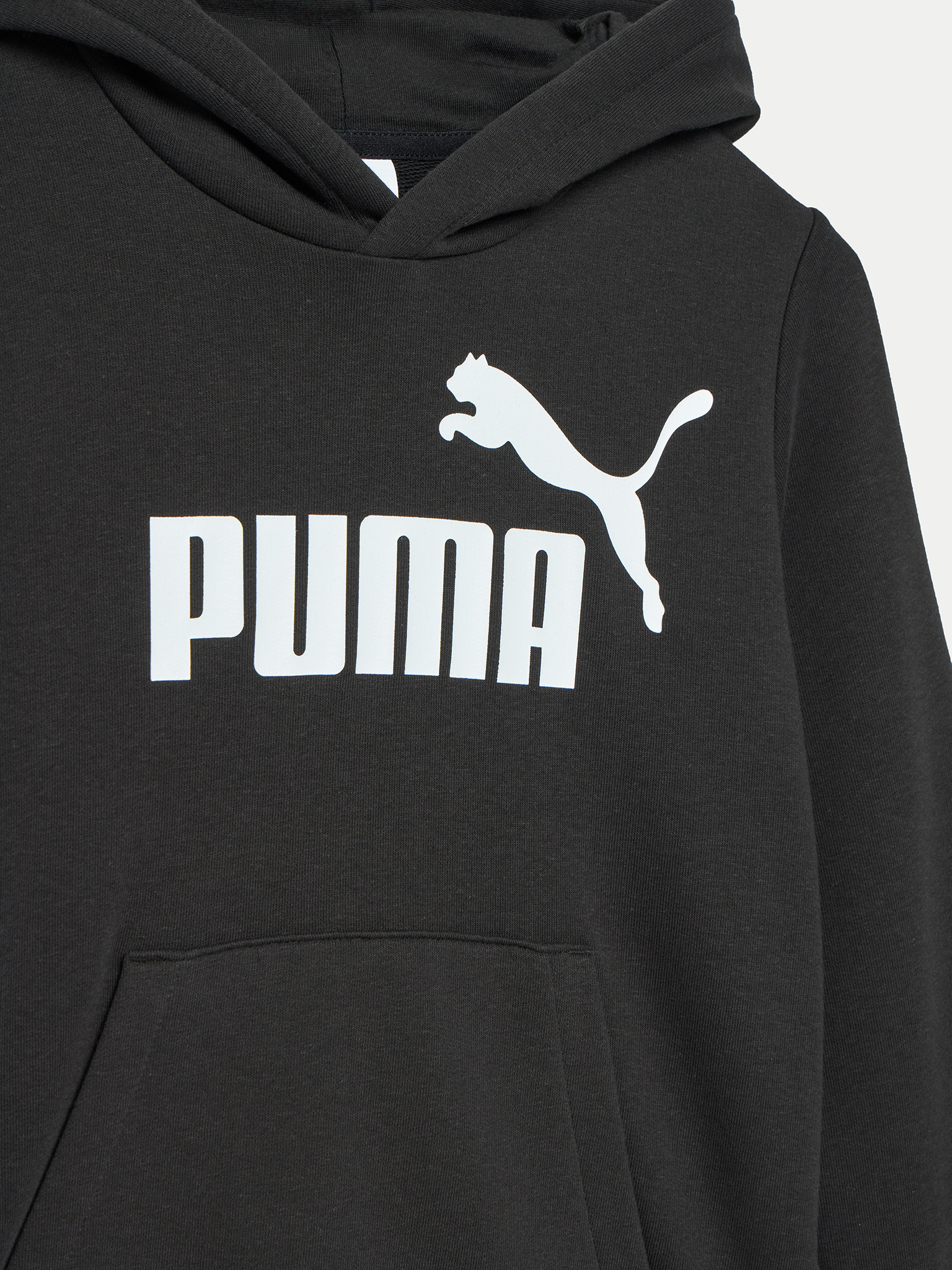 Bluza