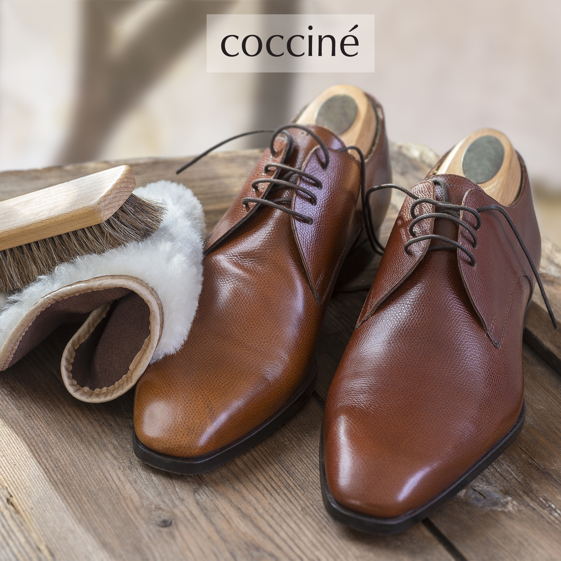 Krema za obutev Rjava