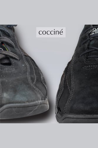 Coccine COCCINE OIL SPRAY 250 ml v.A BEZBOJNO