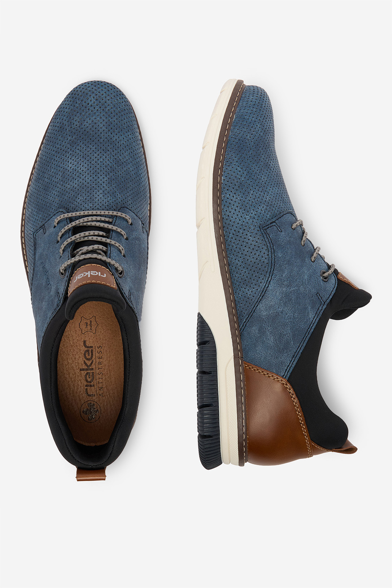 Polobotky Temný blankyt